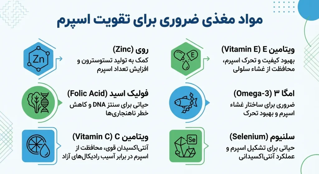 اینفوگرافی ویتامین‌ها و مواد معدنی موثر در تقویت اسپرم و افزایش باروری مردان